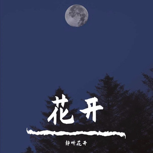 关于孤独我想说的话