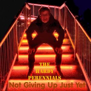 The Day I Met Elentári / The Stars Shine Down