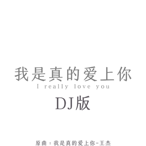 我是真的爱上你