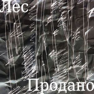 Лес